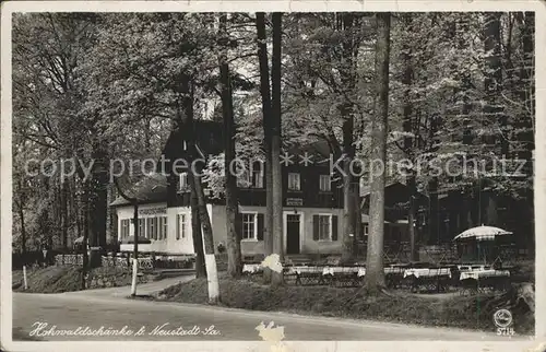 Neustadt Sachsen Hohwaldschoenke  Kat. Neustadt Sachsen