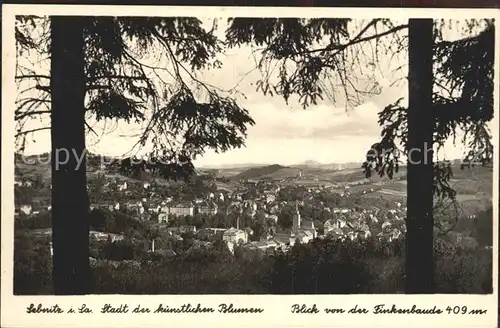 Sebnitz Blumenstadt Blick von Finkenbaude Kat. Sebnitz