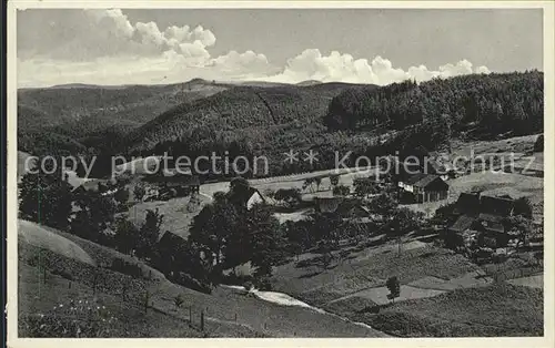 Hinterhermsdorf Panorama Sommerfrische Kat. Sebnitz