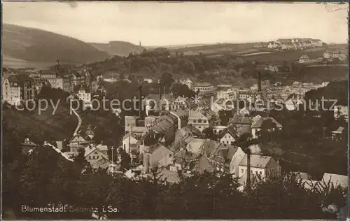 Sebnitz Panorama Blumenstadt Trinks Postkarte Kat. Sebnitz