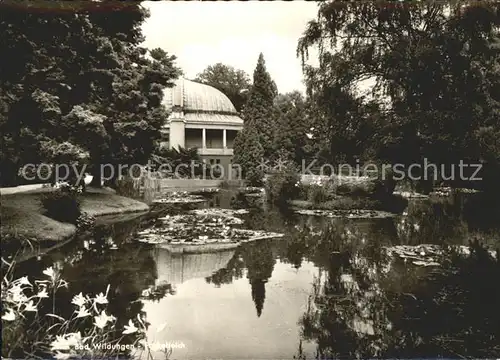 Bad Wildungen Fackelteich  Kat. Bad Wildungen