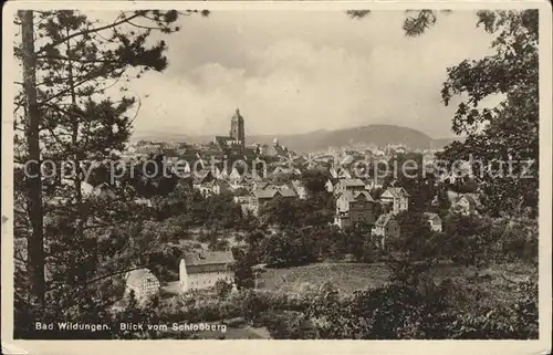 Bad Wildungen Panorama Blick vom Schlossberg Kat. Bad Wildungen