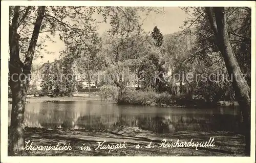 Bad Wildungen Schwanenteich Kurpark an der Reinhardsquelle Kat. Bad Wildungen