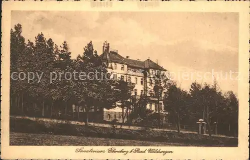 Bad Wildungen Sanatorium Ebersberg Kat. Bad Wildungen