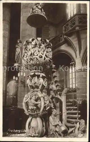 Freiberg Sachsen Tulpenkanzel im Dom Kat. Freiberg