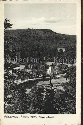 Erlabrunn Erzgebirge Hotel Taeumerhaus Kat. Breitenbrunn Erzgebirge