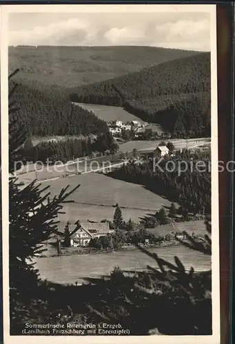 Rittersgruen Panorama Sommerfrische Landhaus Fritzschberg mit Ehrenzipfel Kat. Rittersgruen