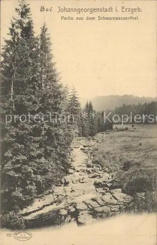 Johanngeorgenstadt Partie aus dem Schwarzwassertal Kat. Johanngeorgenstadt