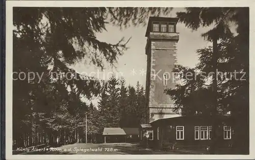 Schwarzenberg Erzgebirge Koenig Albert Turm  Kat. Schwarzenberg