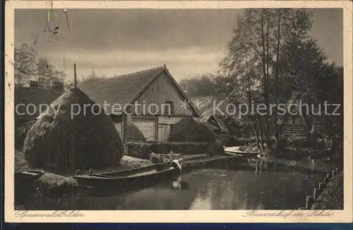 Luebbenau Spreewald Bauernhof Wasserstrasse Serie Spreewaldbilder Kat. Luebbenau