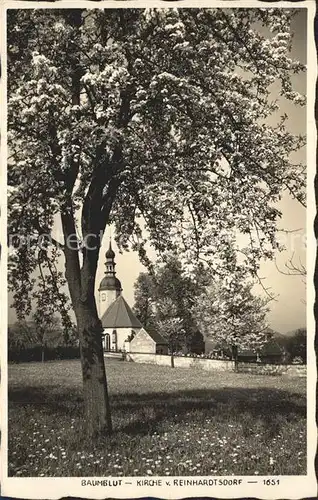 Reinhardtsdorf Schoena Baumblut Kirche Kat. Reinhardtsdorf Schoena