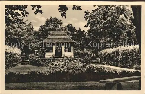 Senftenberg Niederlausitz Idyll im Stadtpark Kat. Senftenberg