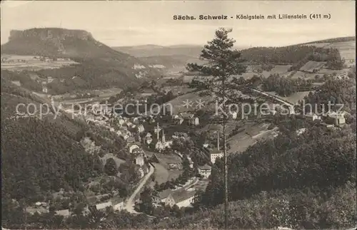 Koenigstein Saechsische Schweiz Lilienstein Kat. Koenigstein Saechsische Schweiz