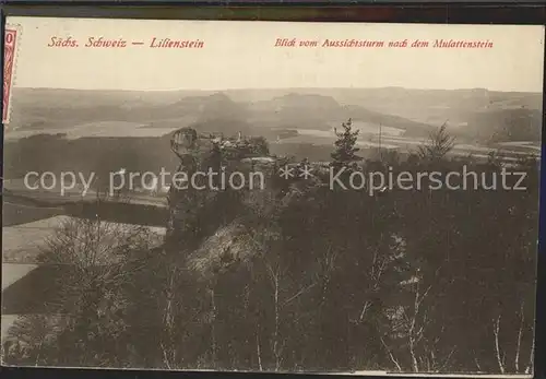 Lilienstein Mulattenstein Bahnpost  Kat. Bad Schandau