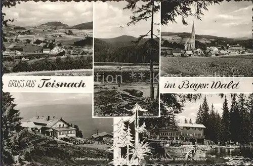 Teisnach Arbersee Gasthaus Seehof Arber  Schutzhuette Kat. Teisnach