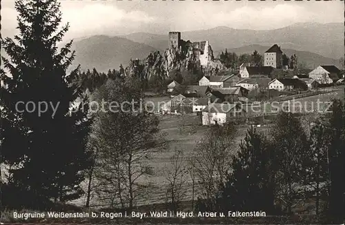 Regen Burgruine Weissenstein Arber Falkenstein Kat. Regen