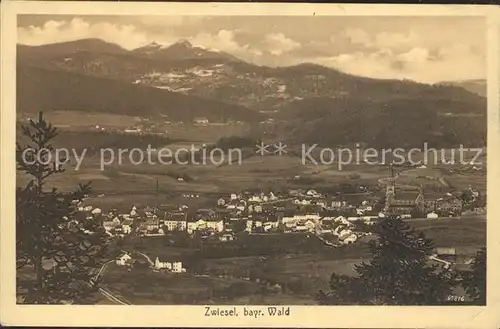 Zwiesel Niederbayern Stadtansicht Kat. Zwiesel