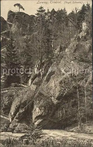 Jocketa Loreley im Triebtal Kat. Poehl Vogtland