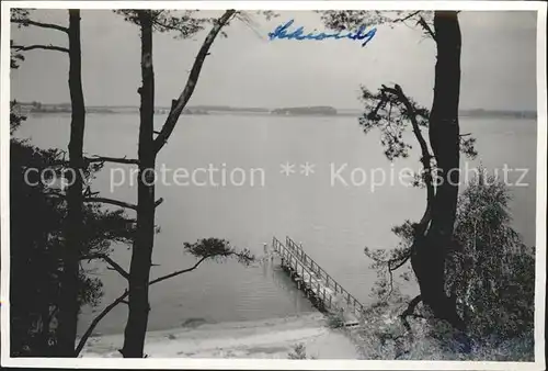 Schwielochsee Blick zum Strand Steg Kat. Schwielochsee