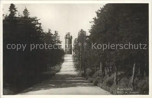 Auersberg Wildenthal Aussichtsturm Unterkunftshaus Kat. Eibenstock