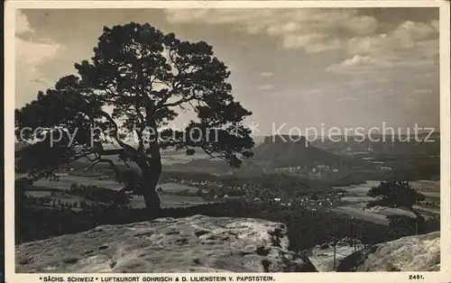 Gohrisch Panorama mit Lilienstein und Papststein Elbsandsteingebirge Kat. Gohrisch