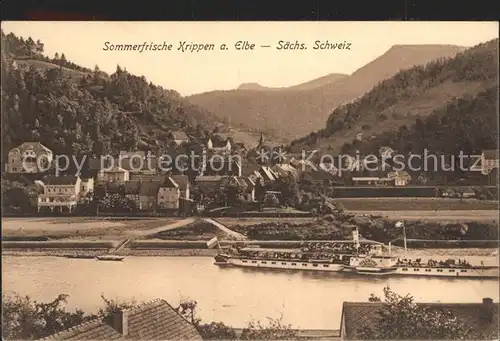 Krippen Bad Schandau Sommerfrische Elbe Raddampfer Kat. Bad Schandau