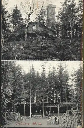 Rodewisch Blick in die Anlagen Turm mit Schutzhuette Steinberg Kat. Rodewisch