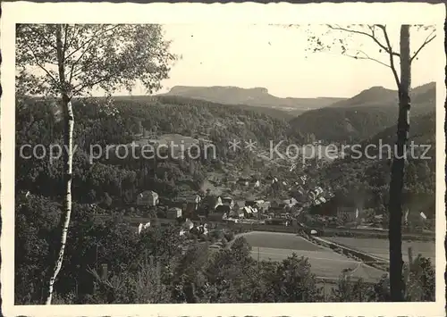 Krippen Bad Schandau Totalansicht Kat. Bad Schandau