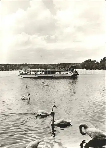 Reichenbach Vogtland Schwaene See Boot Kat. Reichenbach