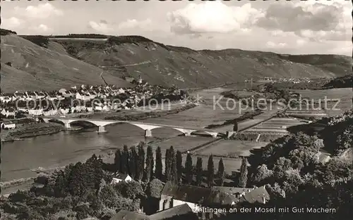 Zeltingen Rachtig Mosel mit Gut Machern Kat. Zeltingen Rachtig