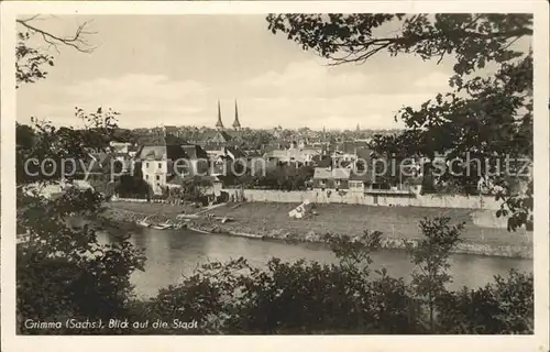 Grimma Blick auf die Stadt Kat. Grimma