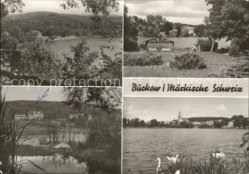 Buckow Maerkische Schweiz Schermuetzelsee Schwaene Kat. Buckow Maerkische Schweiz