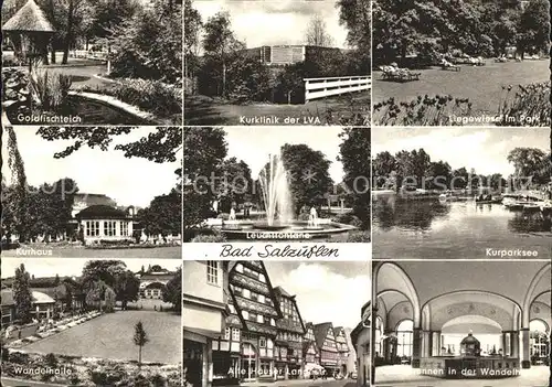 Bad Salzuflen Goldfischteich Kurklinik Liegewiese Kurhaus Leuchtfont?ne Kurpark See Wandelhalle Brunnen Alte H?user Kat. Bad Salzuflen