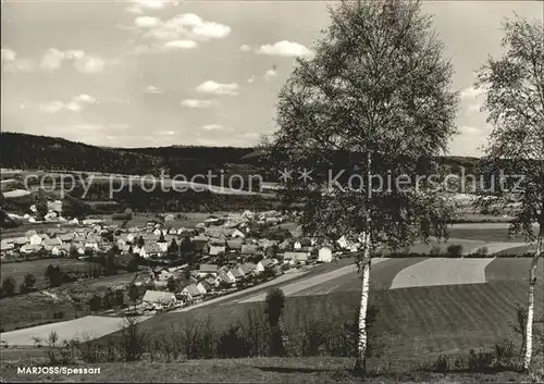 Marjoss Panorama Kat. Steinau an der Strasse