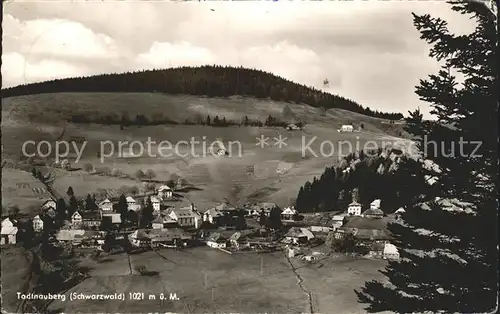 Todtnauberg  Kat. Todtnau