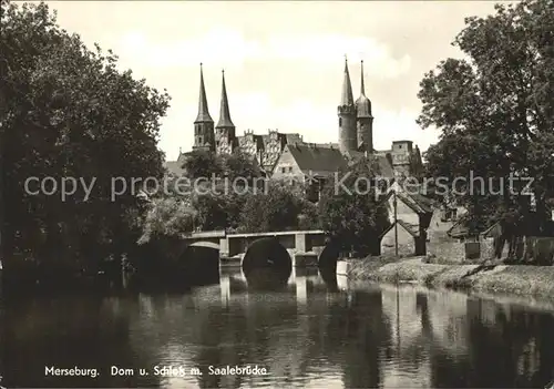 Merseburg Saale Dom mit Schloss und Saalebruecke Kat. Merseburg