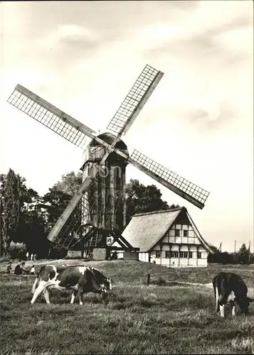 Muenster Westfalen Bockwindmuehle und Muehlenhaus Kat. Muenster