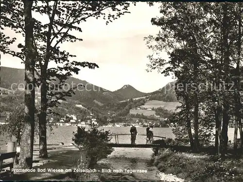 Bad Wiessee am Zeiselbach am Tegernsee Kat. Bad Wiessee