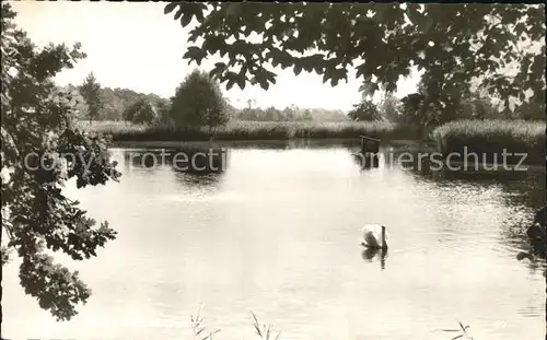 Bremervoerde Muehlenteich Kat. Bremervoerde