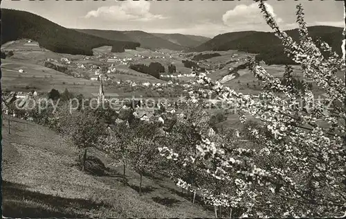 Baiersbronn Schwarzwald Panorama Kat. Baiersbronn