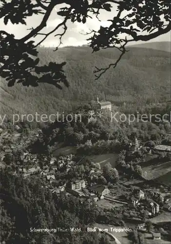 Schwarzburg Thueringer Wald Blick vom Trippstein Kat. Schwarzburg