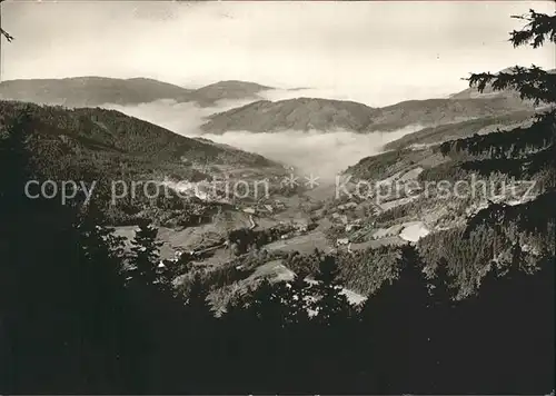 Freudenstadt Blick von der Schwarzwaldhochstrasse ins Seebachtal Kat. Freudenstadt