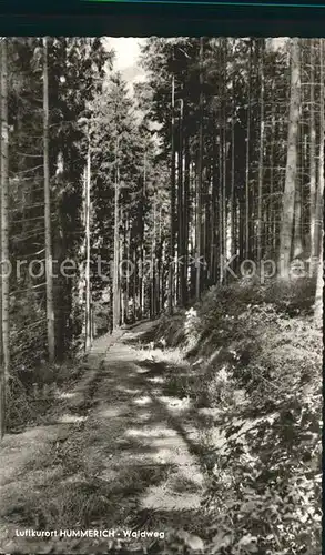 Huemmerich Westerwald Waldweg Kat. Huemmerich