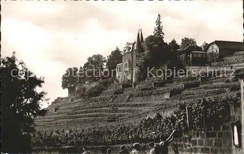 Neustadt Weinstrasse Haardter Schloss Kat. Neustadt an der Weinstr.