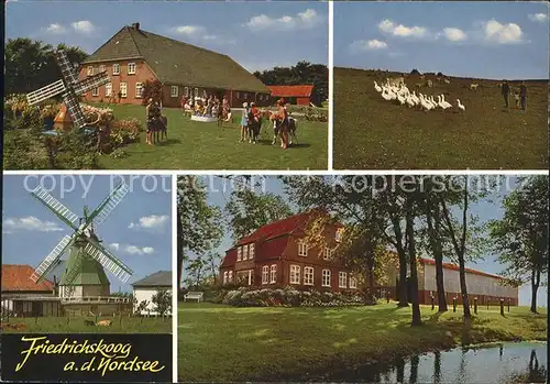 Friedrichskoog Nordseebad Gebaeude mit Windmuehlen Gaenseschar / Friedrichskoog /Dithmarschen LKR