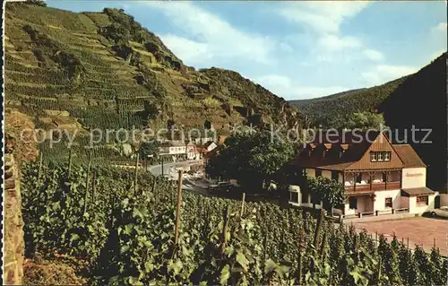 Walporzheim Bauernschenke Kat. Bad Neuenahr Ahrweiler