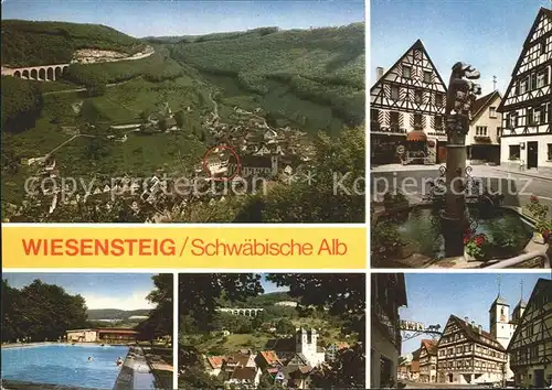 Wiesensteig Totalansicht Brunnen Schwimmbad Dorfblick Kat. Wiesensteig