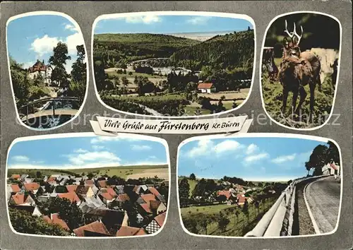 Fuerstenberg Westfalen Stadtansicht Hirsch Kat. Bad Wuennenberg