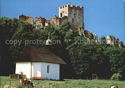 Regen Burgruine Weissenstein Kat. Regen