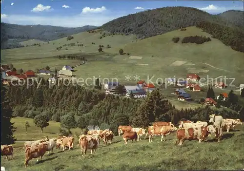 Bernau Schwarzwald  Kat. Bernau im Schwarzwald